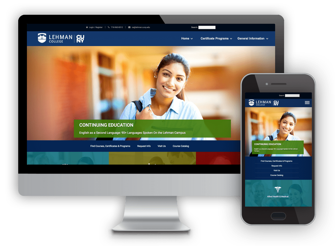 case study of website redesign, SEO, digital marketing platform by Digital Jibe for New York Professional Studies school